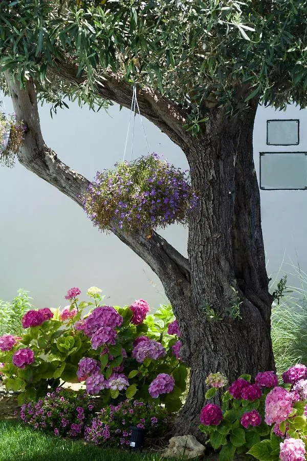 Bed & Breakfast B&B Villa Eraclea Villaggio Mose